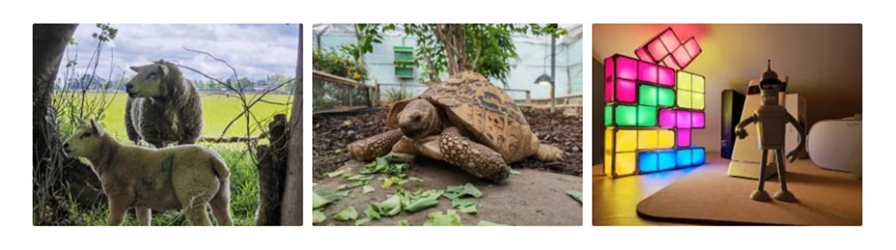 p-styletext-align-centerspan-stylefont-size18pxcolorrgb000strong