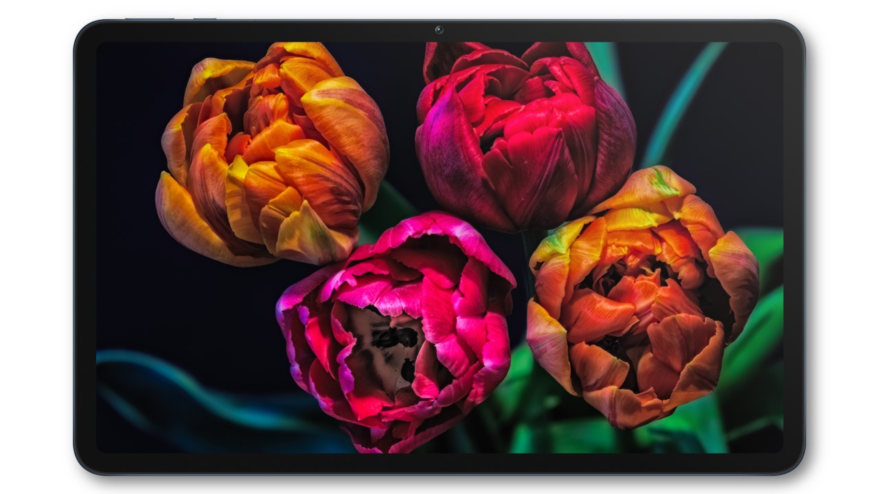 p-styletext-align-centerspan-stylefont-size18pxstrongمرحبا-هونر-فانز