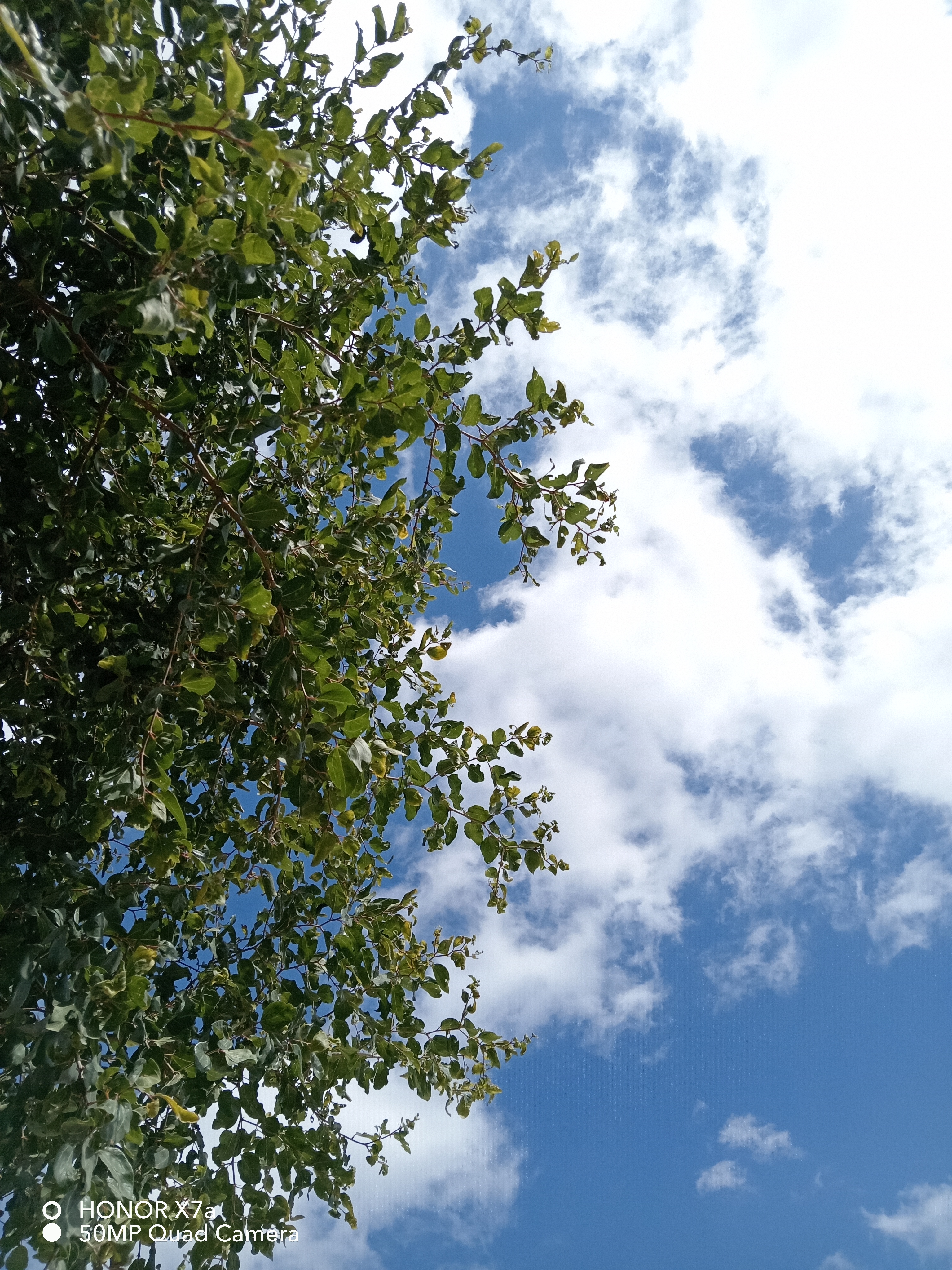 pbrstrongspan-stylecolor-rgb31-73-125مرحبا-nbspspanstrongppstrongspan