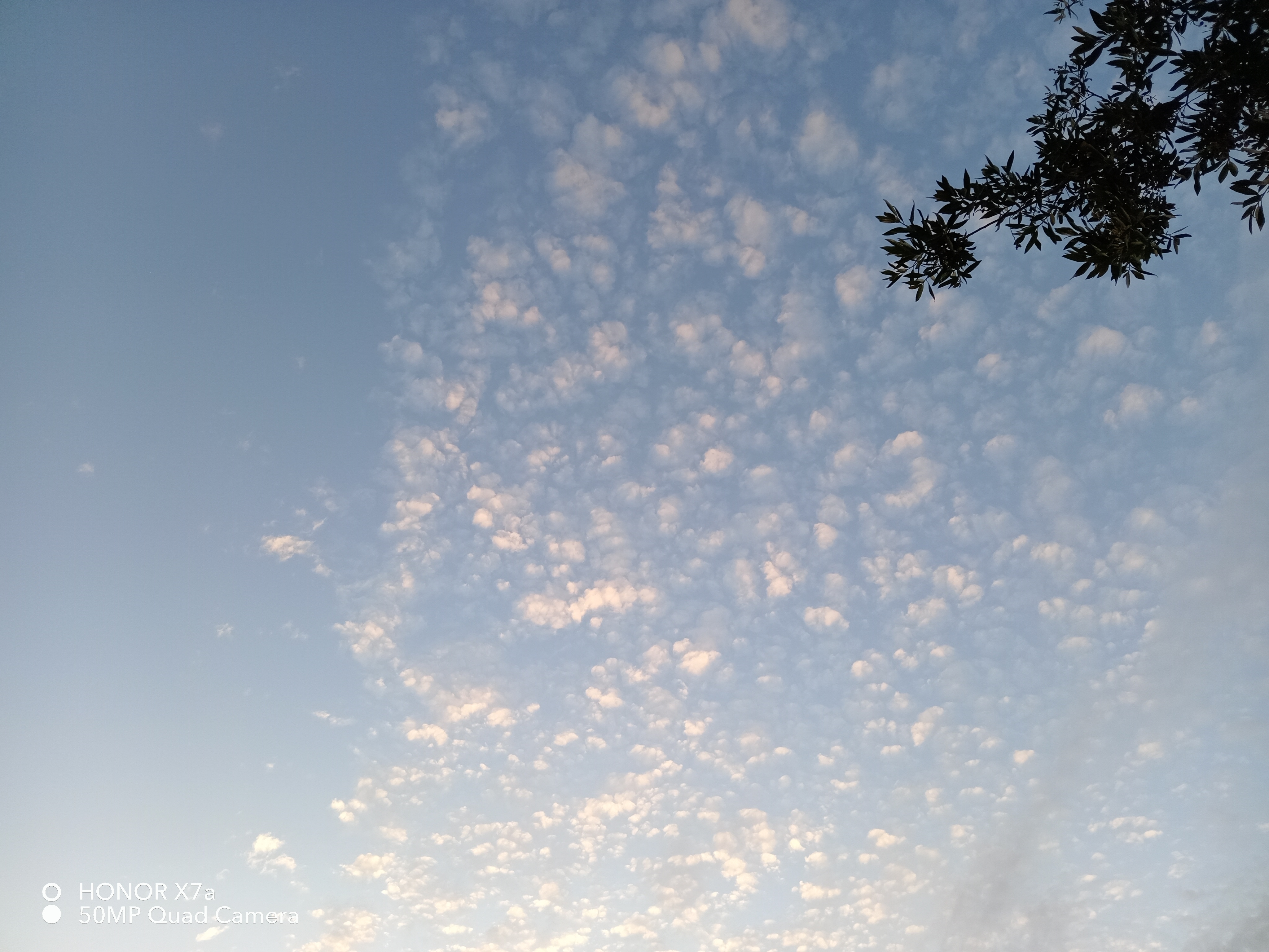 pbrstrongspan-stylecolor-rgb31-73-125مرحبا-nbspspanstrongppstrongspan