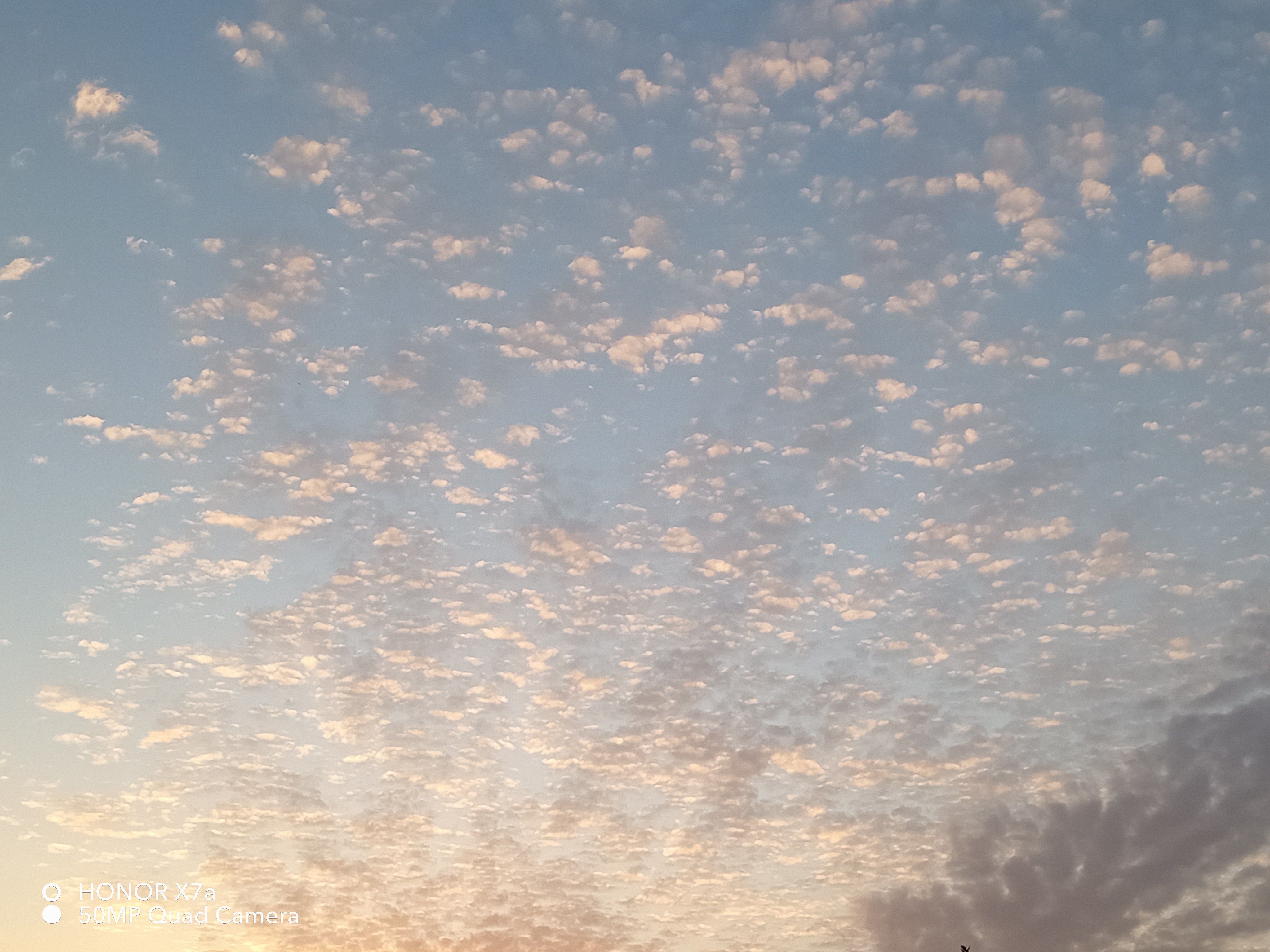 pbrstrongspan-stylecolor-rgb31-73-125مرحبا-nbspspanstrongppstrongspan