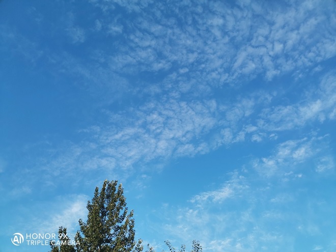 HONOR-9X-PRO-نظرة-عملية-وحزمة-متكاملة-بسعر-جذاب