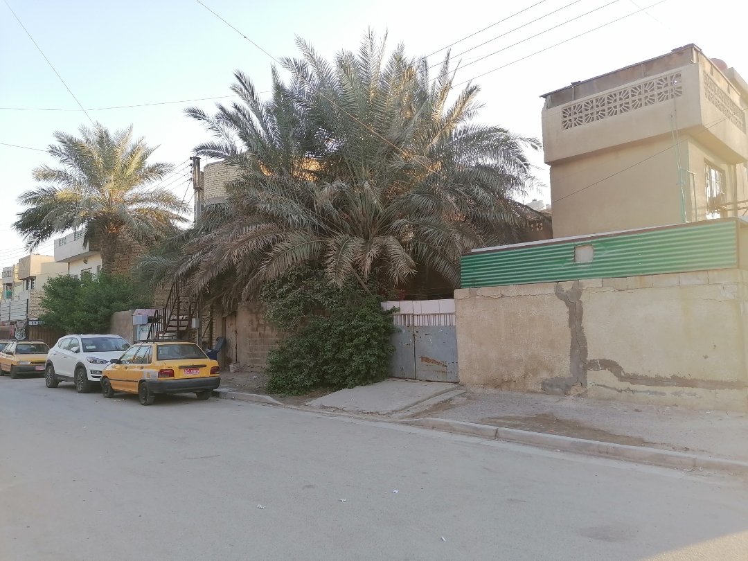 مراجعةnbspكاميراتnbspHONORnbsp10XnbspLITEnbspوبعضnbspالصورnbsp