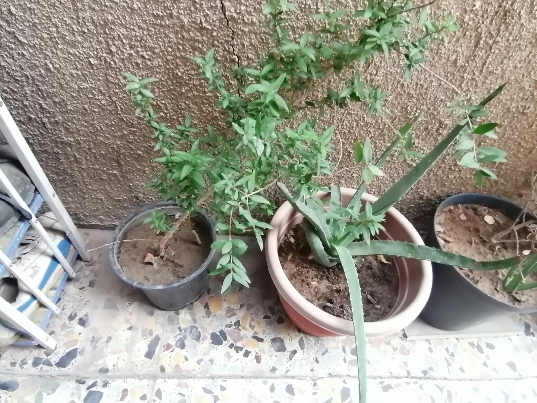 مراجعةnbspكاميراتnbspHONORnbsp10XnbspLITEnbspوبعضnbspالصورnbsp