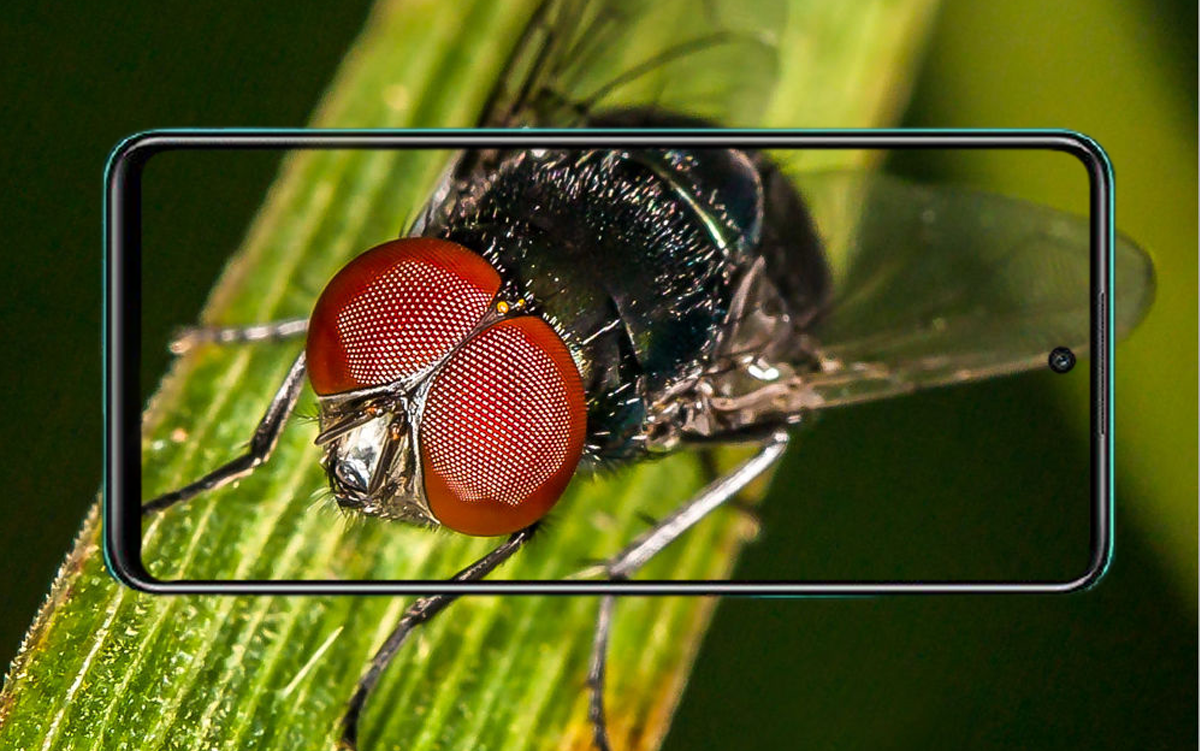 ابرز-مميزات-HONOR-10X-Lite