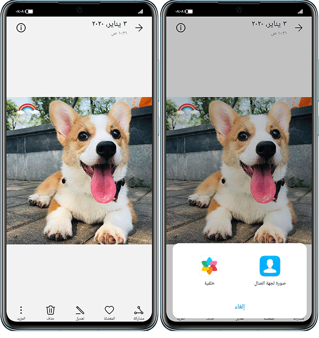 -نصائح-وحيل-كيف-يتم-تخصيص-جهات-الأتصال-في-EMUI-10
