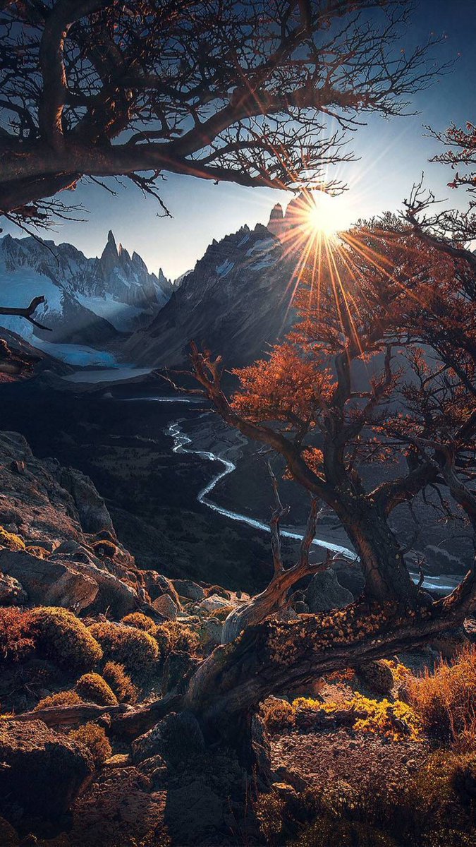 -خلفيــــات-خلفيـــات-رائعة-لهواتف-هونر