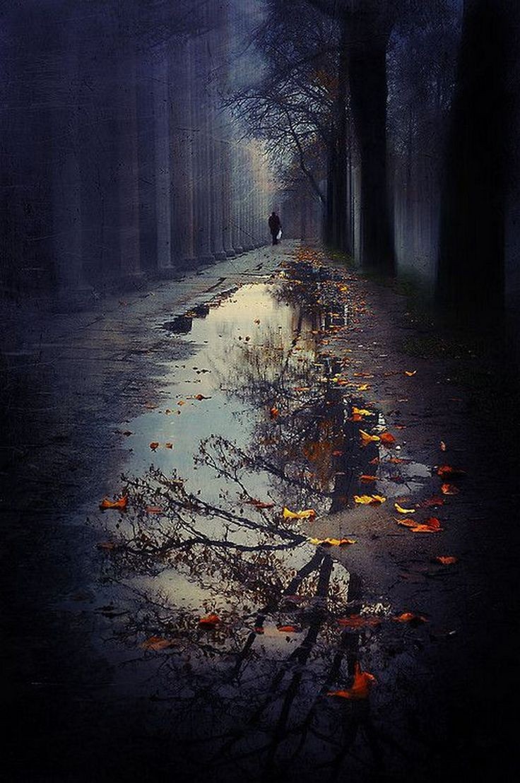 -خلفيــــات-خلفيـــات-رائعة-لهواتف-هونر