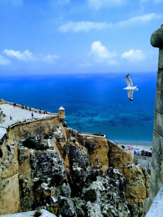 صور-رائعة-في-مسابقة-التصوير-العالمية-لـHONOR-9X