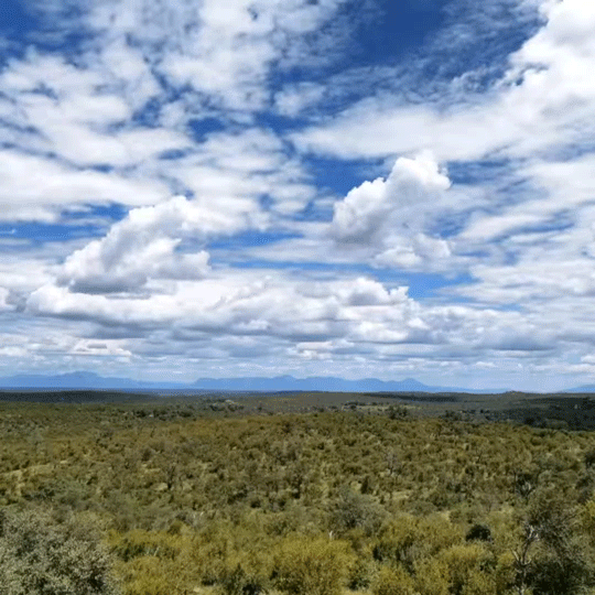 -نصائح-تعلم-التصوير-الزمني-على-أجهزة-هونر