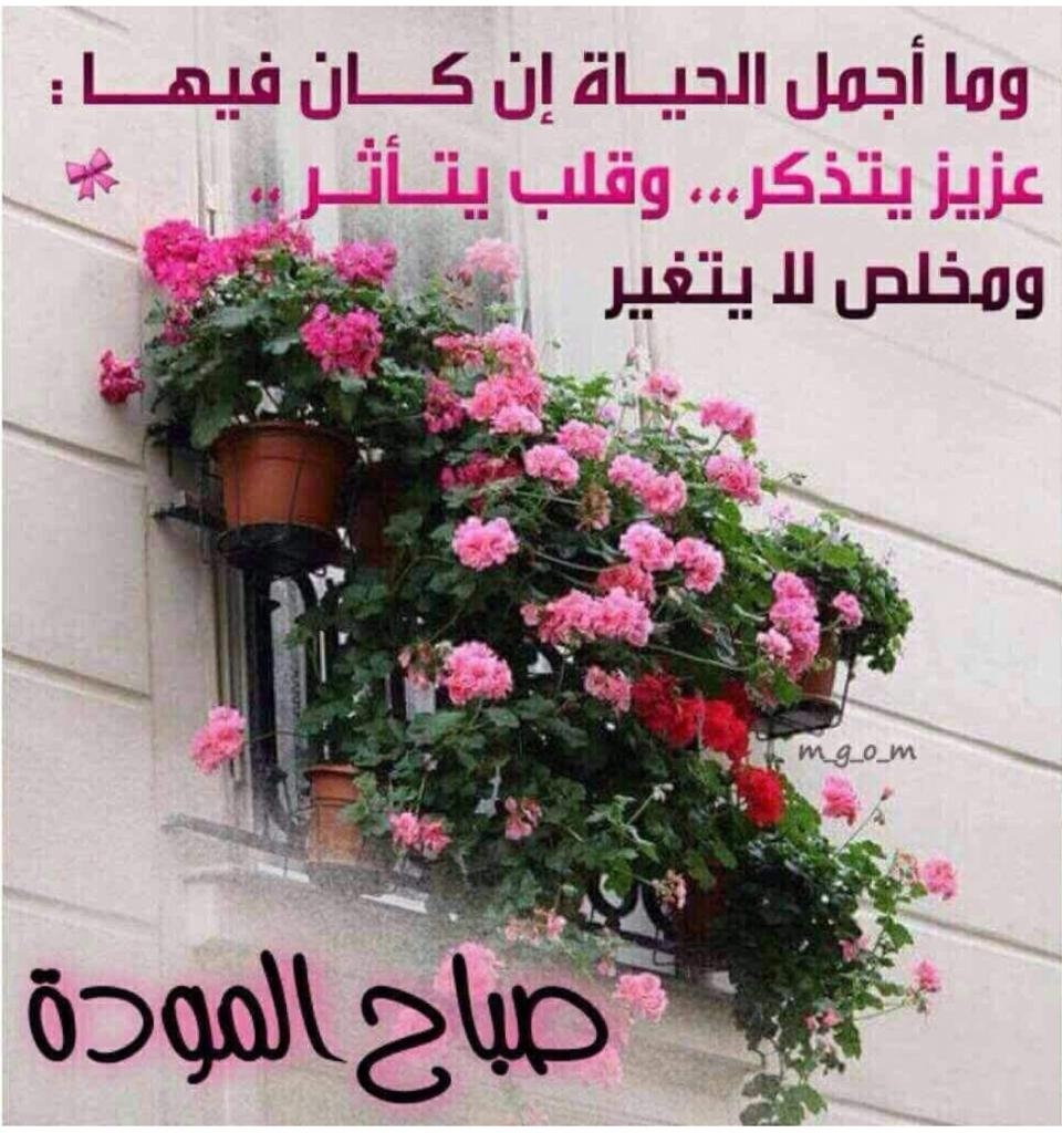 كرم-العراقي