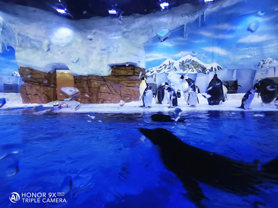 -مراجعة-تجربتي-مع-جهاز-HONOR-9X-PRO-بعد-مرور-شهر