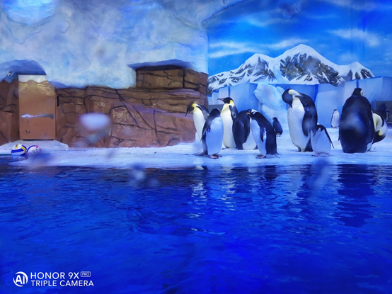 -مراجعة-تجربتي-مع-جهاز-HONOR-9X-PRO-بعد-مرور-شهر