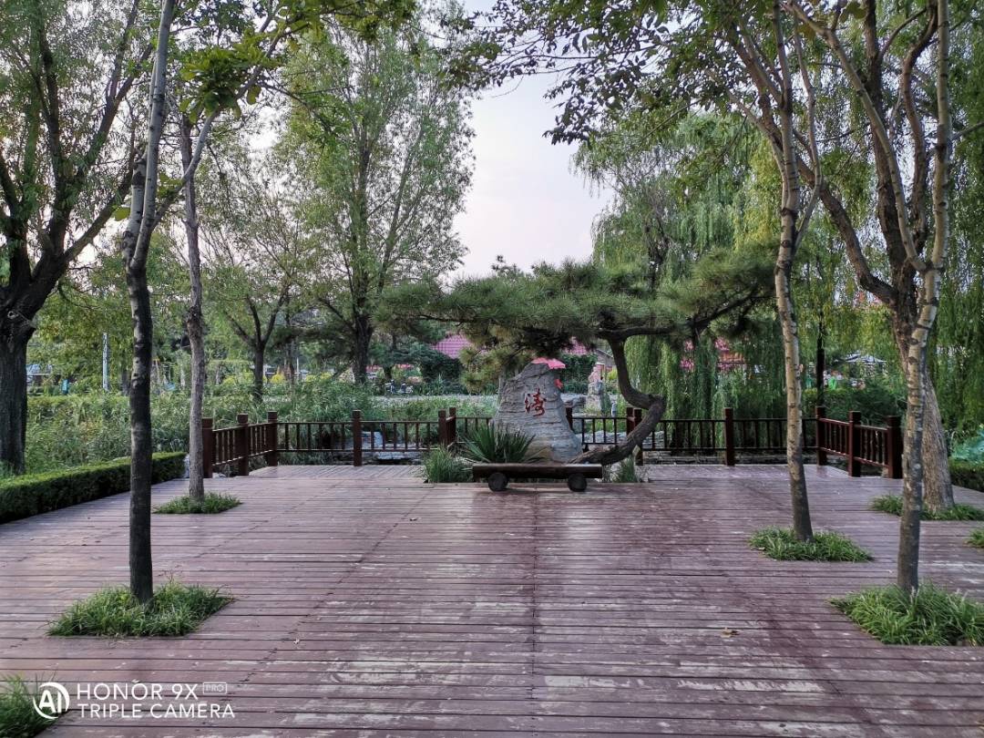 تصويرفوتوغرافيتوثيق-أجمل-اللحظات-بهاتف-HONOR-9X-PRO