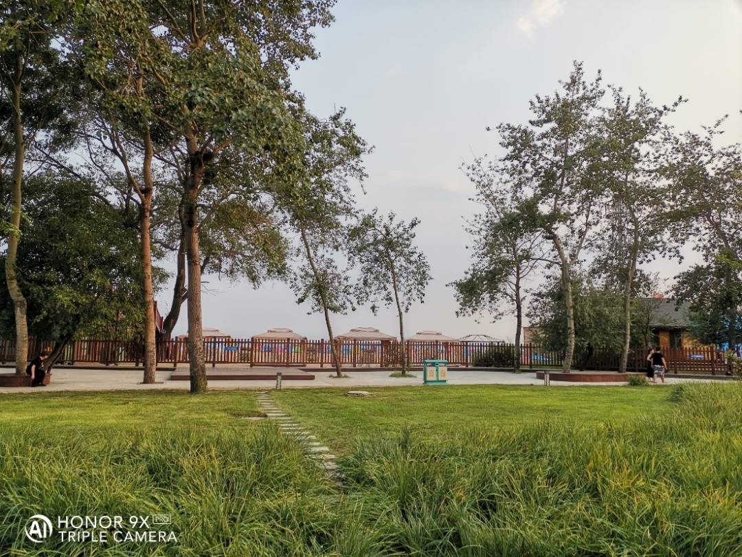 تصويرفوتوغرافيتوثيق-أجمل-اللحظات-بهاتف-HONOR-9X-PRO