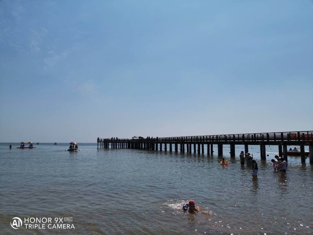 تصويرفوتوغرافيتوثيق-أجمل-اللحظات-بهاتف-HONOR-9X-PRO