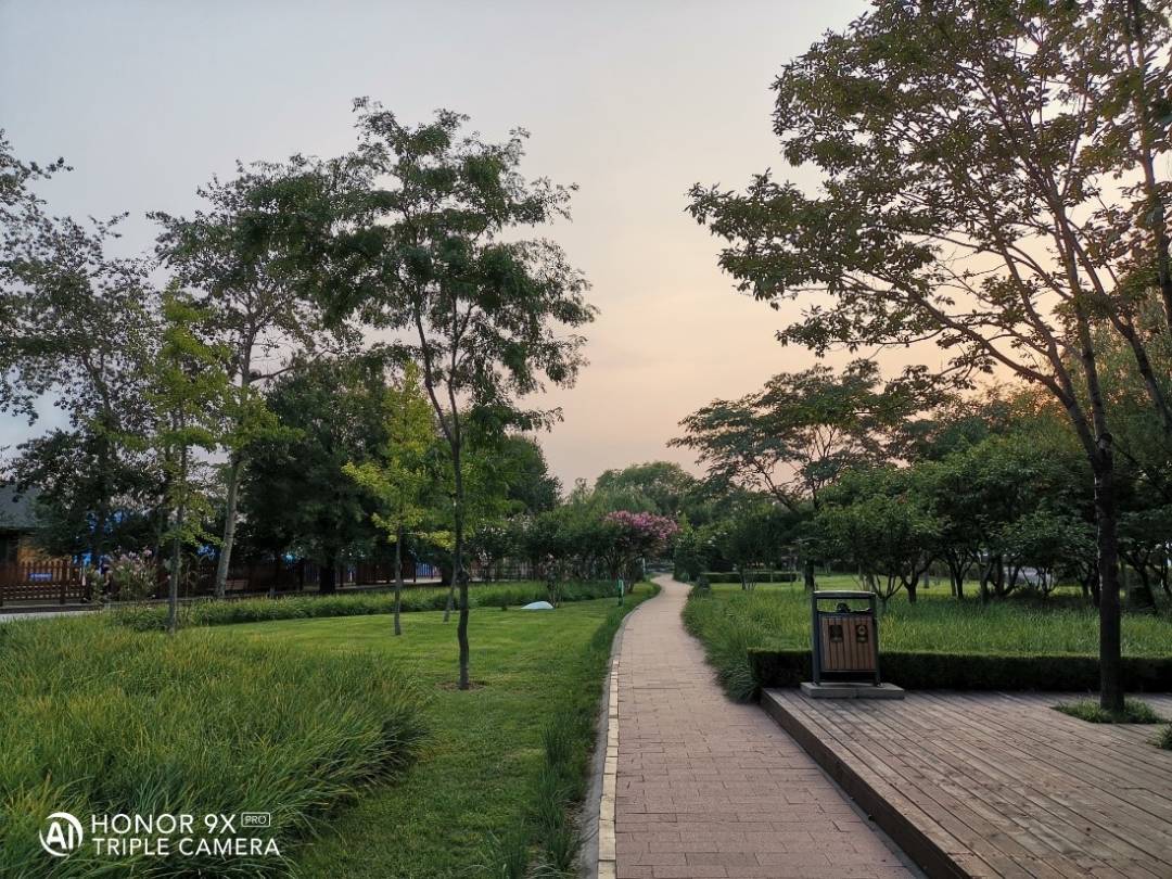 تصويرفوتوغرافيتوثيق-أجمل-اللحظات-بهاتف-HONOR-9X-PRO