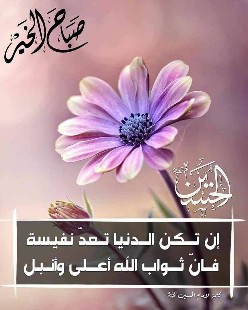 pصباح-الخير-للجميع-ppimg-srchttpsiforum