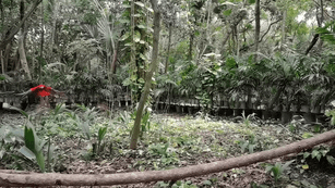 p-styletext-align-centerbrpp-styletext-align-centerspan-stylefont