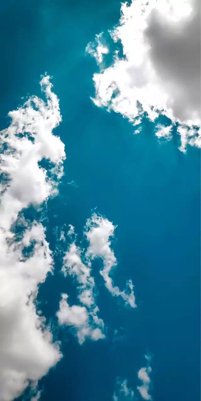 pimg-srchttpsiforum-sgchihonorcommeameadataimages20211058a35748a-7c5a