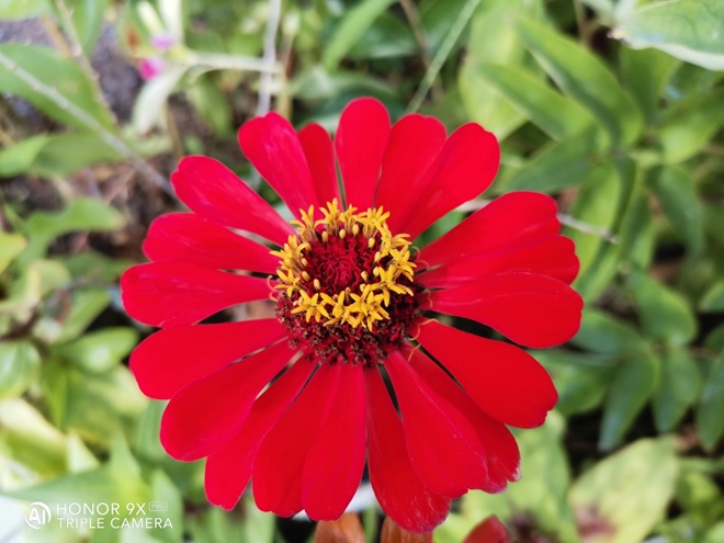 HONOR-9X-Hands-on-Look-Compelling-Package-with-an-Attractive-Price