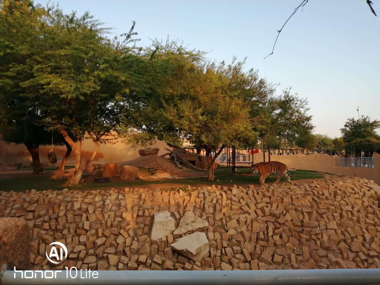Honor-10-Lite-اختبار-كاميرا-الهاتف-الانيق