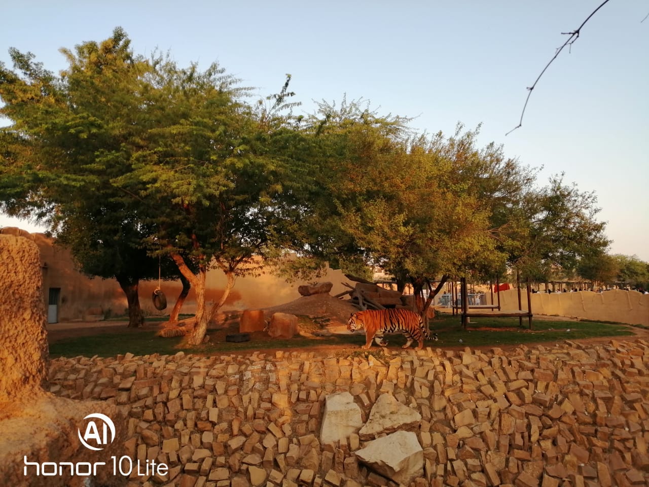 Honor-10-Lite-اختبار-كاميرا-الهاتف-الانيق