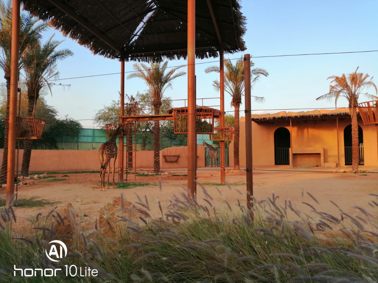 Honor-10-Lite-اختبار-كاميرا-الهاتف-الانيق