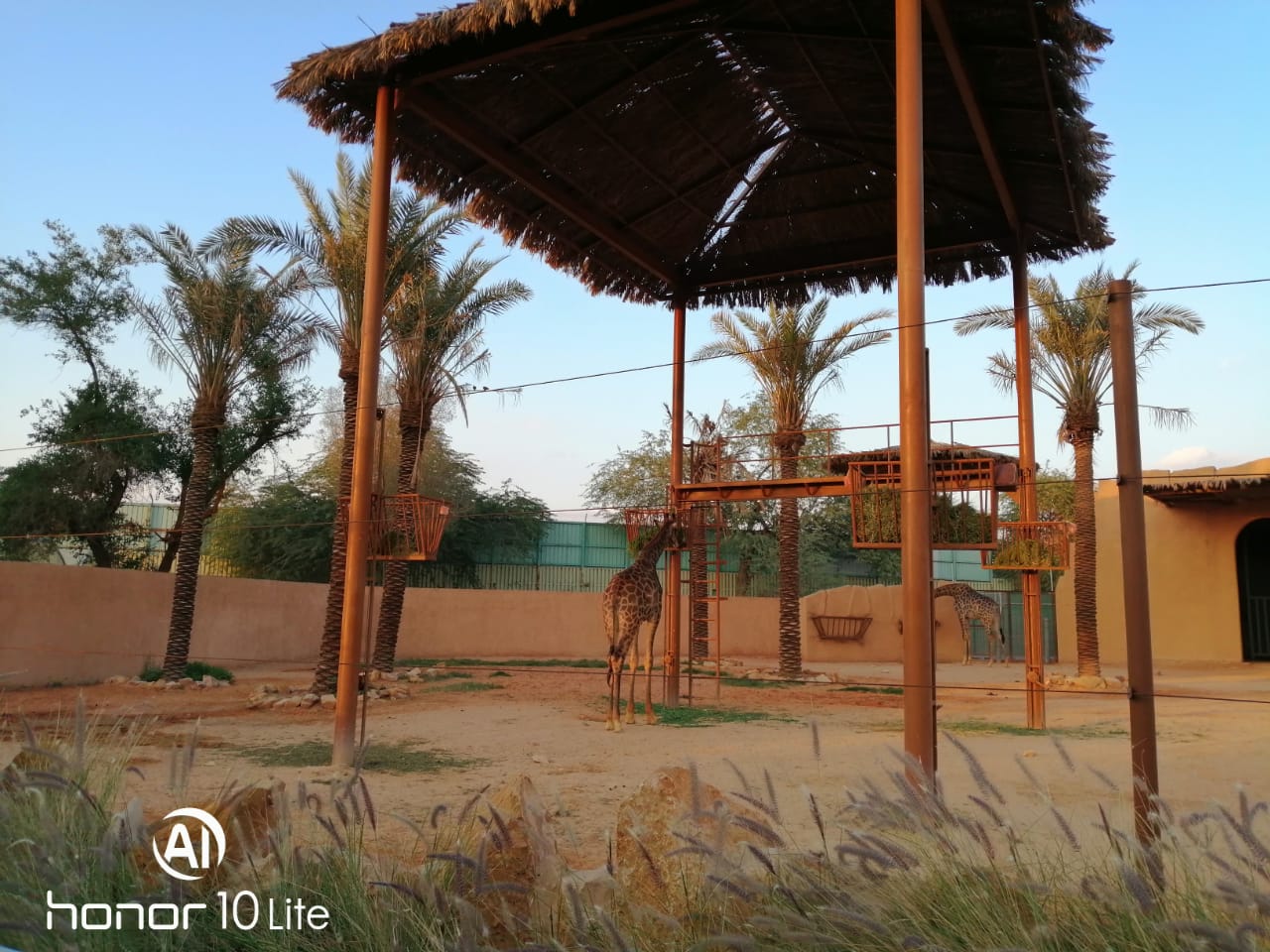 Honor-10-Lite-اختبار-كاميرا-الهاتف-الانيق