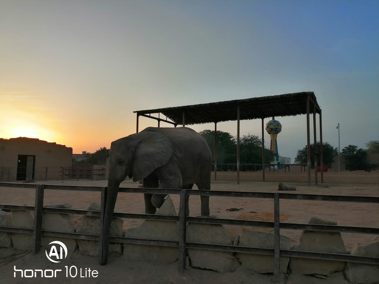 Honor-10-Lite-اختبار-كاميرا-الهاتف-الانيق