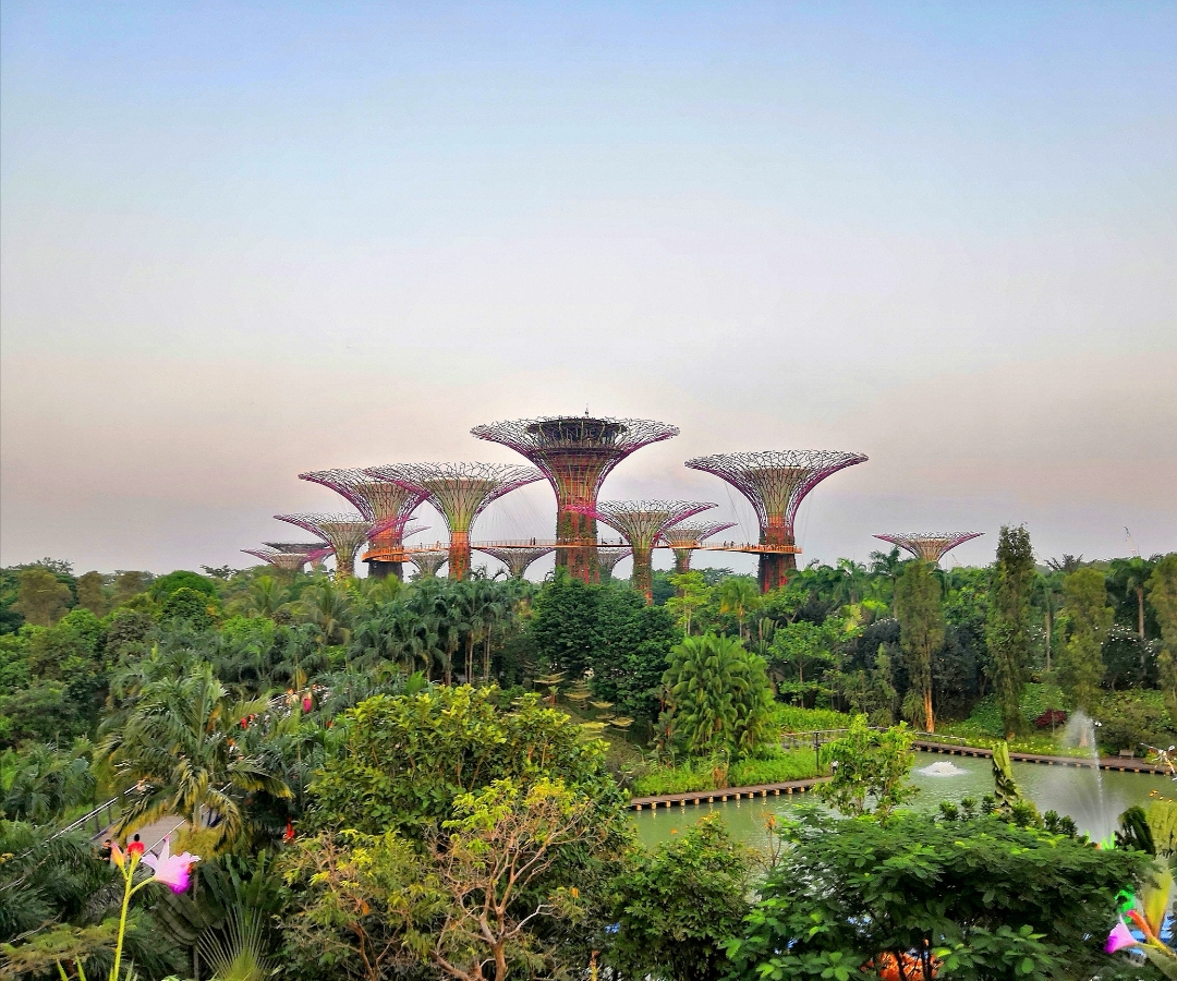 فوتوغرافي-ثمانية-وأربعون-ساعة-في-سنغافورة-مع-هونر-10