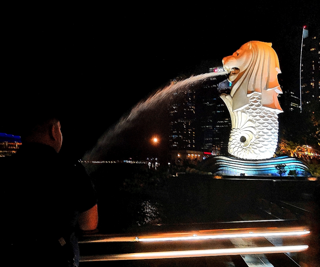 فوتوغرافي-ثمانية-وأربعون-ساعة-في-سنغافورة-مع-هونر-10