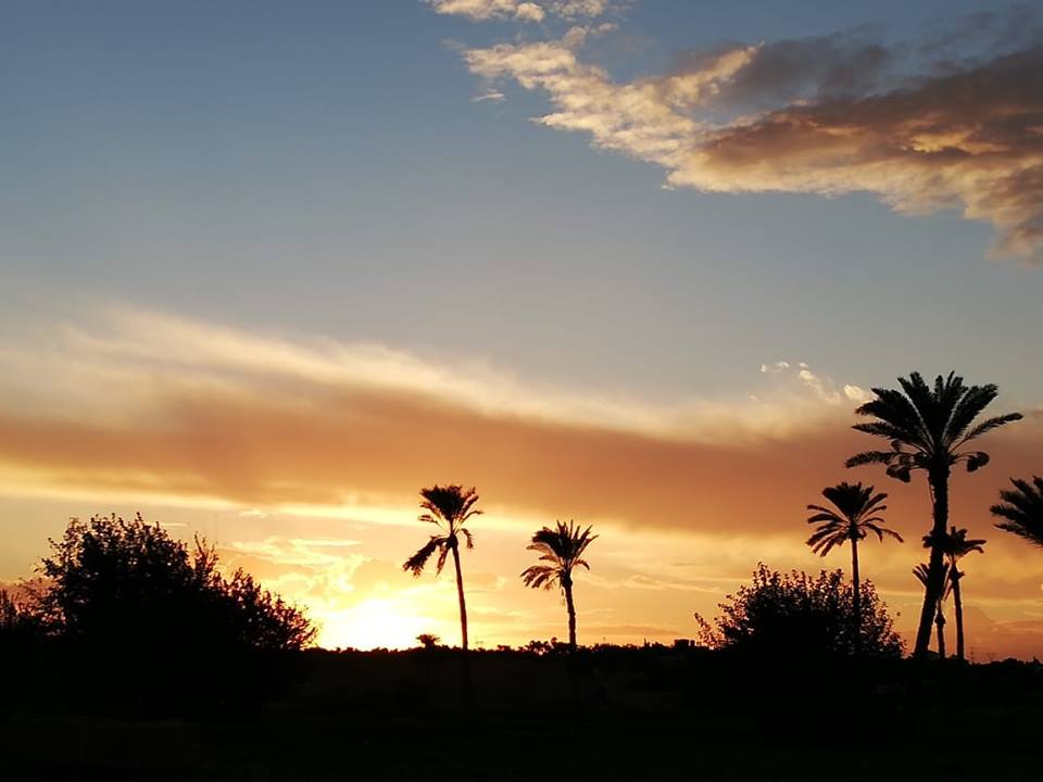 مراجعتي-لهاتف-هونر-بلاي-وحش-الجيمز