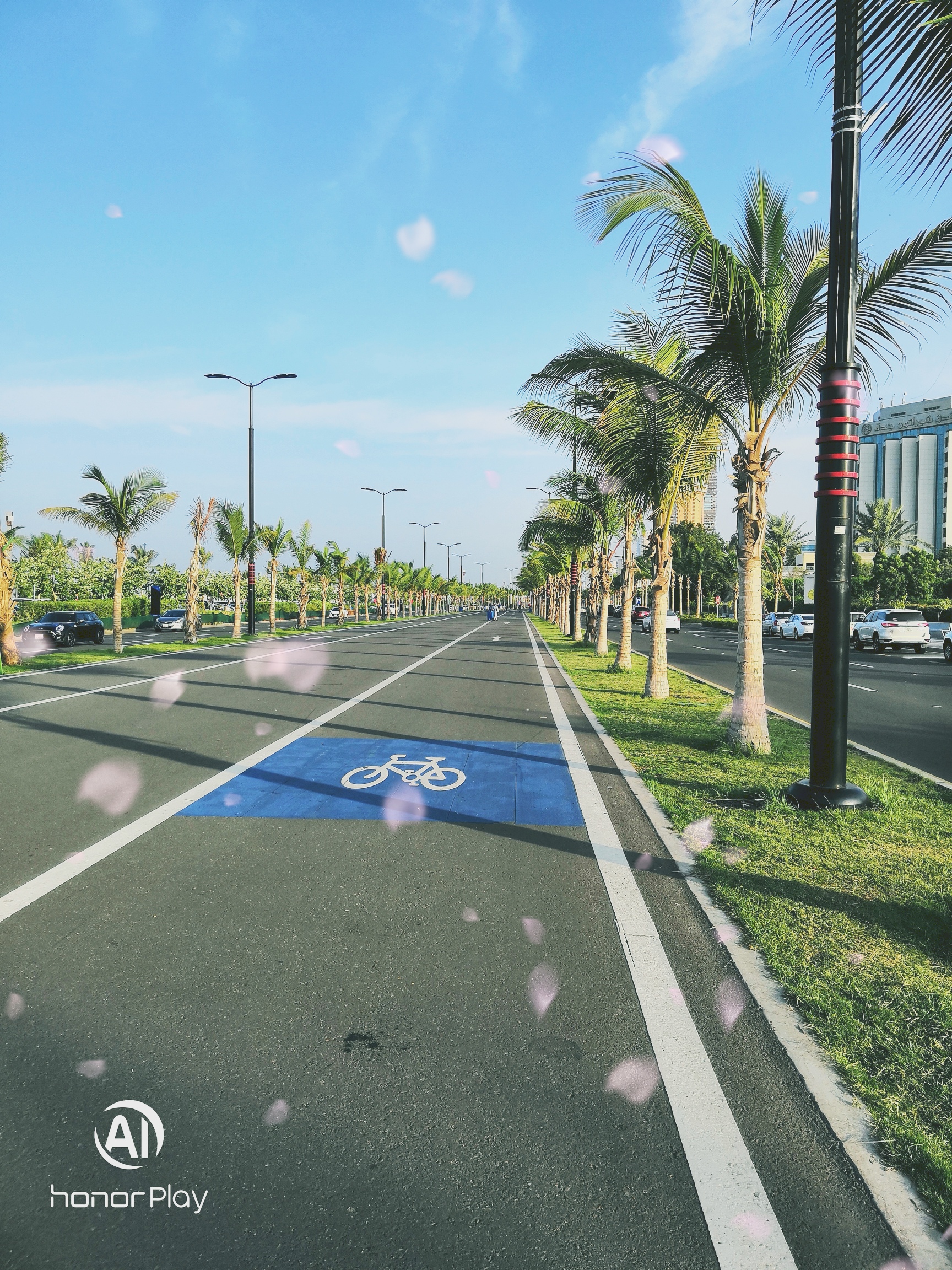 مراجعة-وحش-الجيمز-هونر-بلاي-Honor-Play