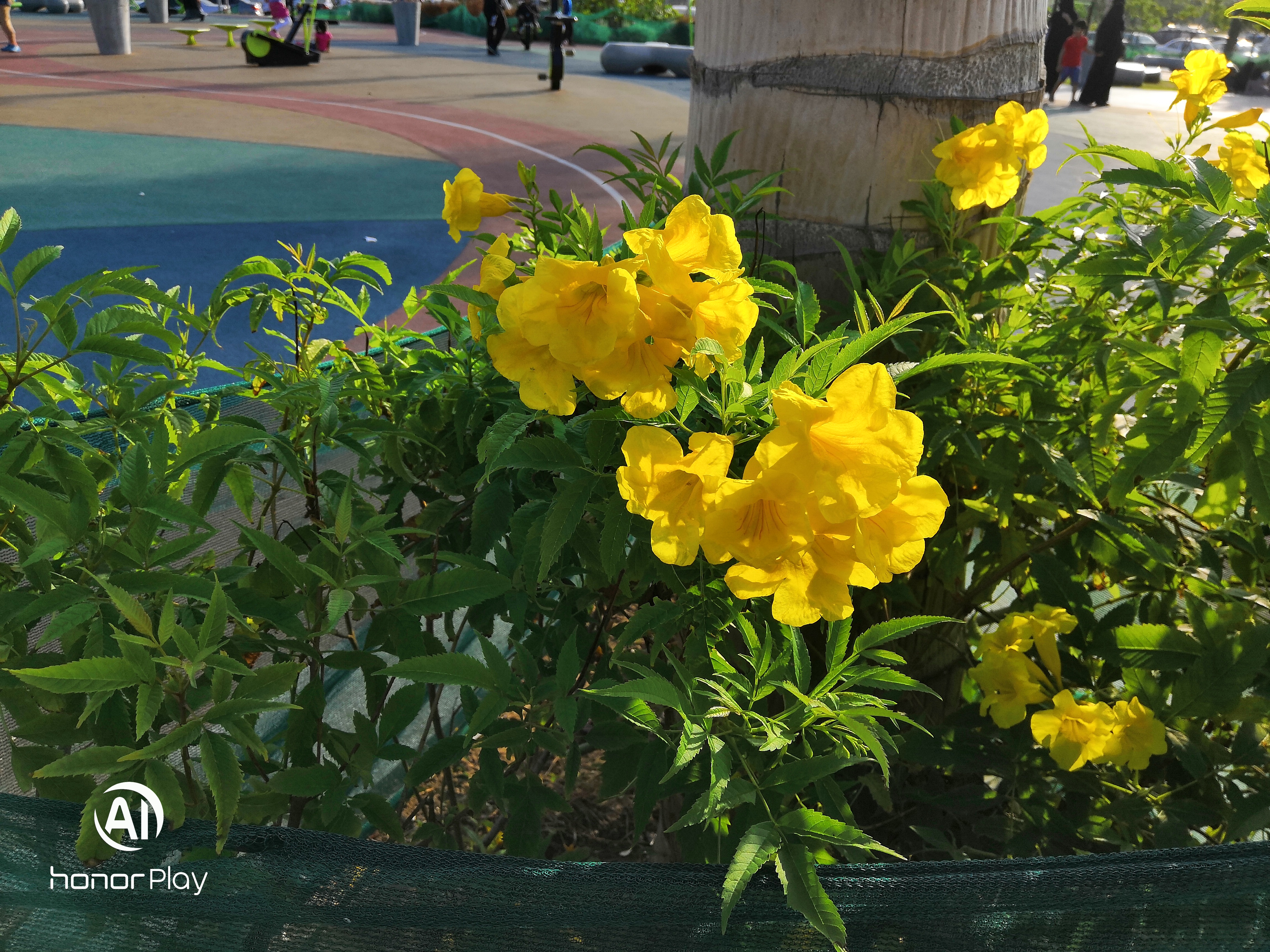 مراجعة-وحش-الجيمز-هونر-بلاي-Honor-Play