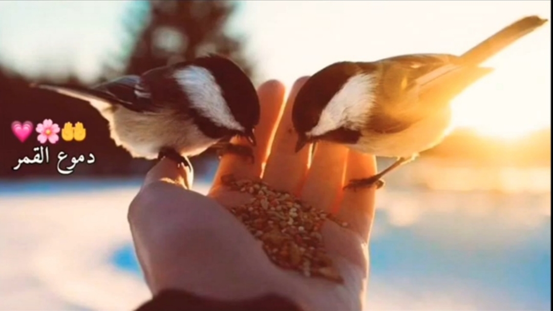 pحبالخيرلغيرككماتحبالخير-لنفسكppimg-srchttpsiforum