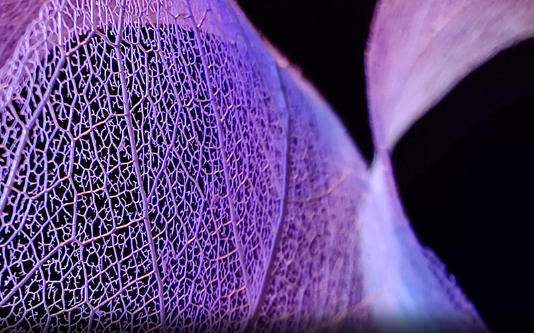 pbrpp-styletext-align-centerspan-stylefont-size24pxstrongspan