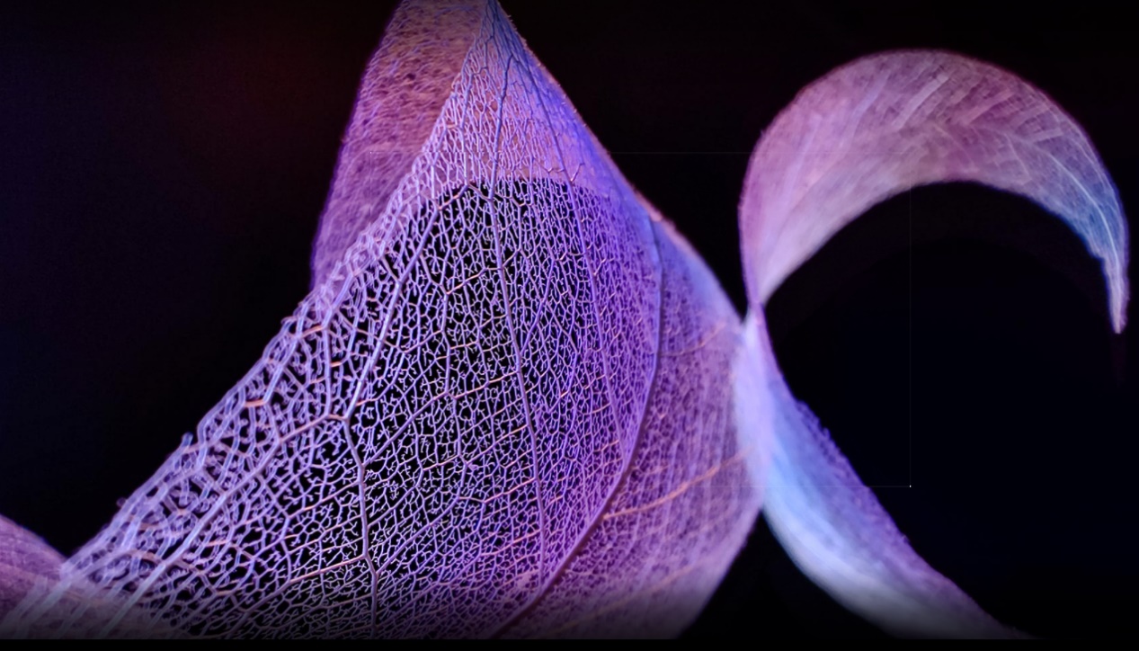 pbrpp-styletext-align-centerspan-stylefont-size24pxstrongspan