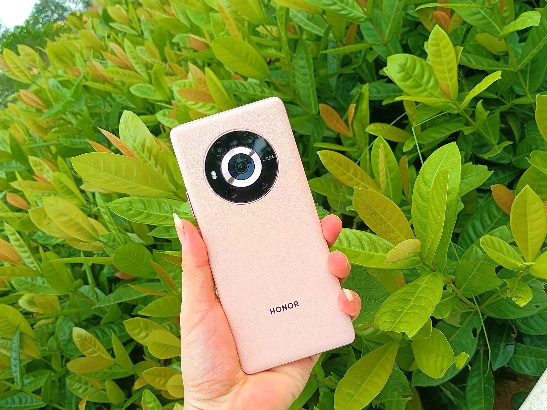 p-styletext-align-centerspan-stylefont-size18pxbrspanpp-styletext