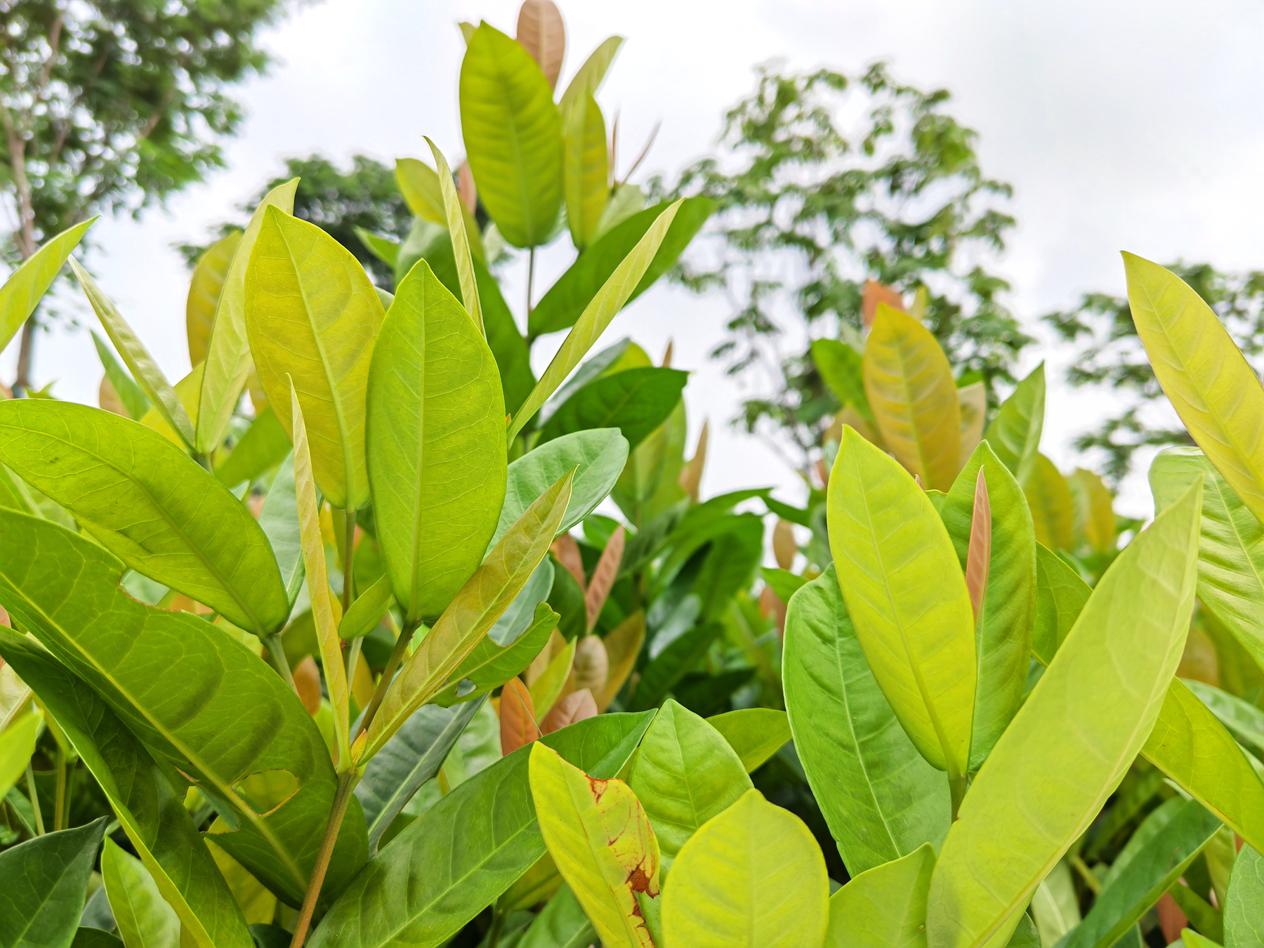 p-styletext-align-centerspan-stylefont-size18pxbrspanpp-styletext