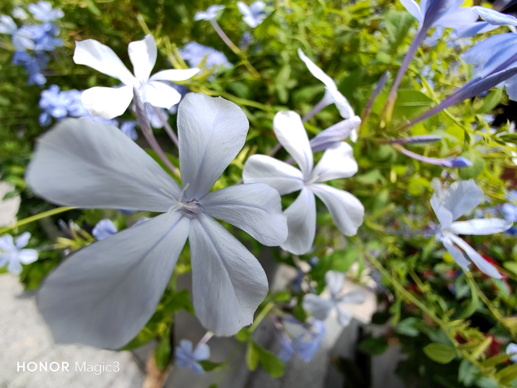 p-styletext-align-centerspan-stylefont-size18pxbrspanpp-styletext