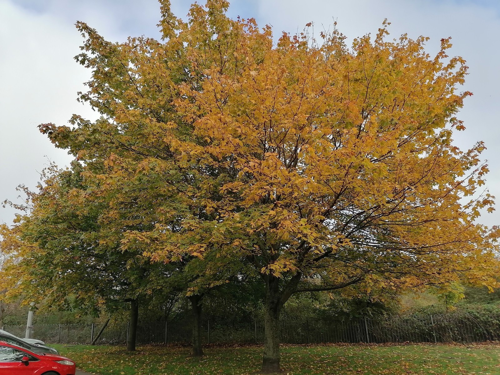 p-styletext-align-centerbrpp-styletext-align-centerspan-stylefont