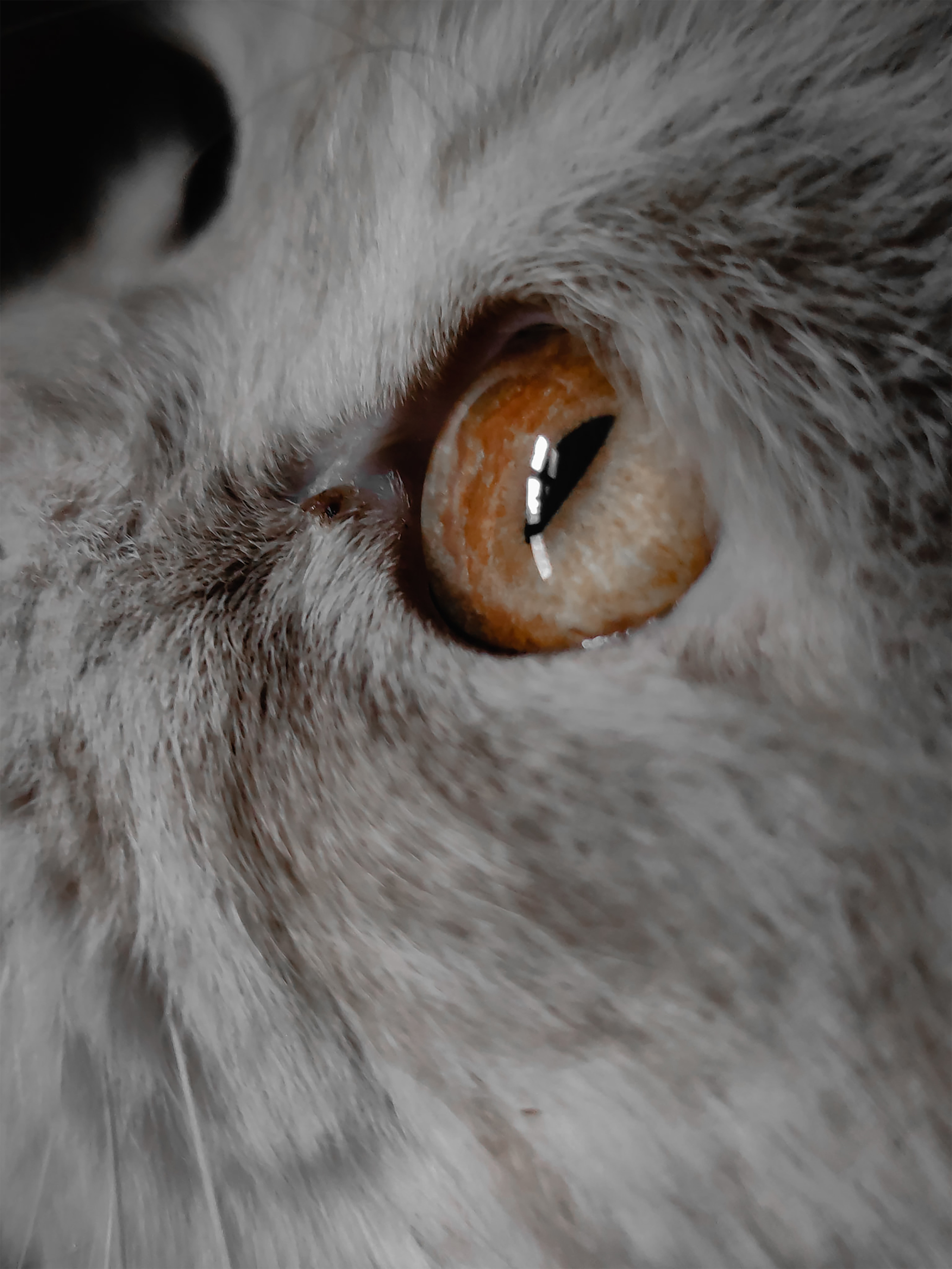 p-styletext-align-centerspan-stylefont-size18pxstrongstrongspanpp