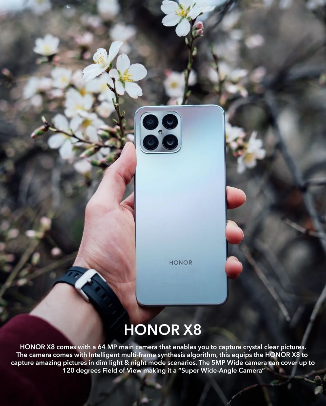 pstrongspan-stylecolor-rgb255-0-0img-srchttpsiforum