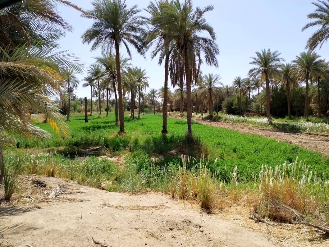 pimg-srchttpsiforum-sgchihonorcommeameadataimages2022422f233c7ee-aea3