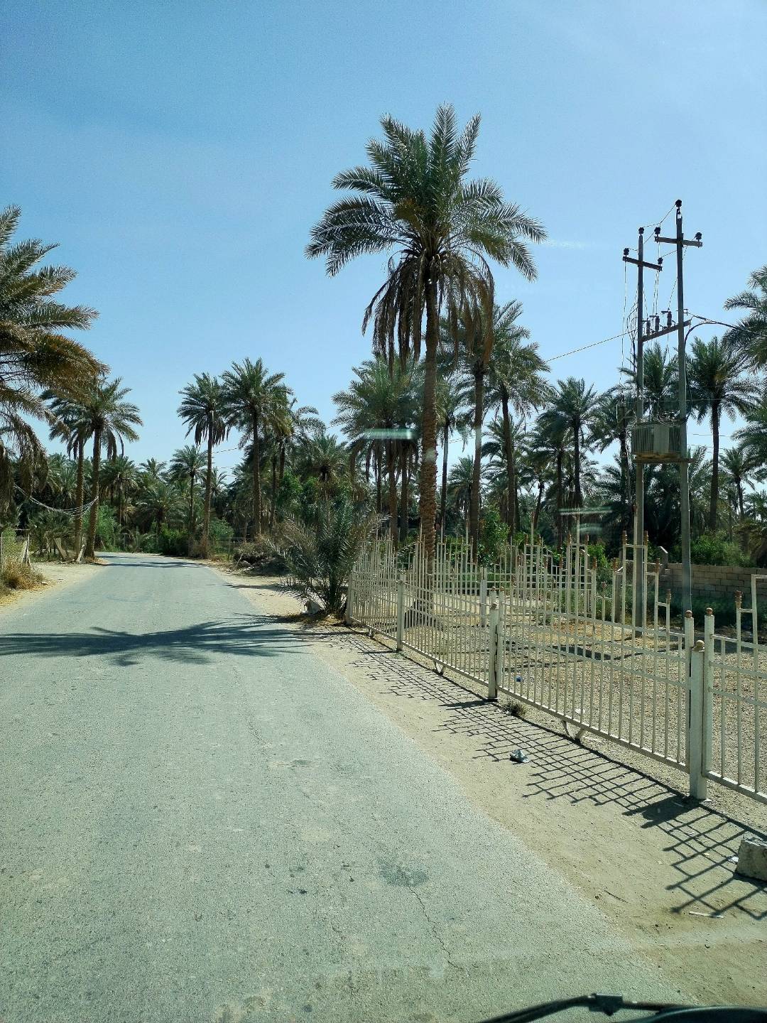 pimg-srchttpsiforum-sgchihonorcommeameadataimages2022422f233c7ee-aea3