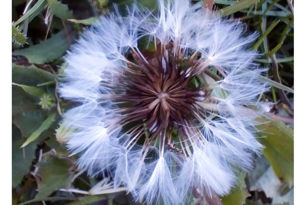 p-styletext-align-centerspan-stylecolorrgb19200strongbrstrongspanpp