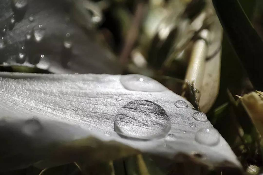 p-styletext-align-centerspan-stylecolorrgb19200strongbrstrongspanpp