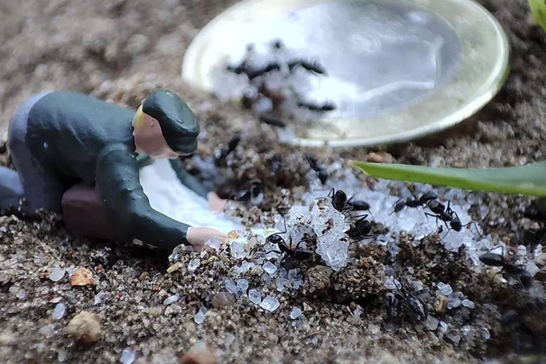 p-styletext-align-centerspan-stylecolorrgb19200strongbrstrongspanpp