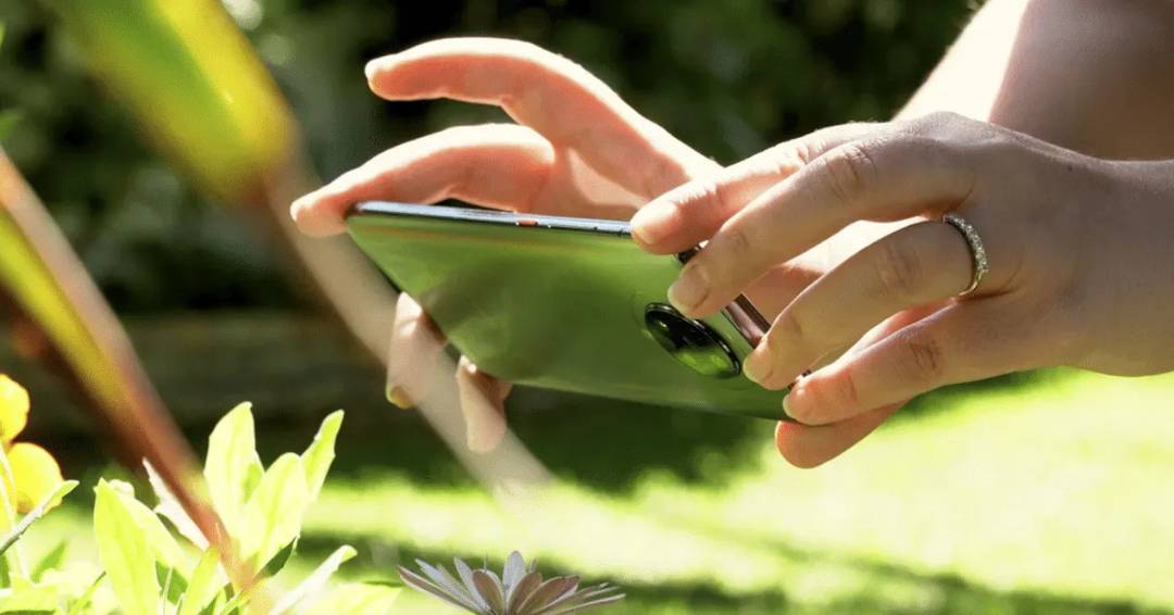 p-styletext-align-centerspan-stylecolorrgb19200strongbrstrongspanpp